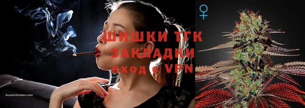 шишки Горнозаводск