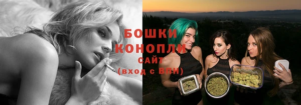 шишки Горнозаводск