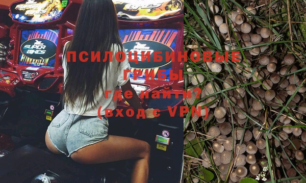 шишки Ростов